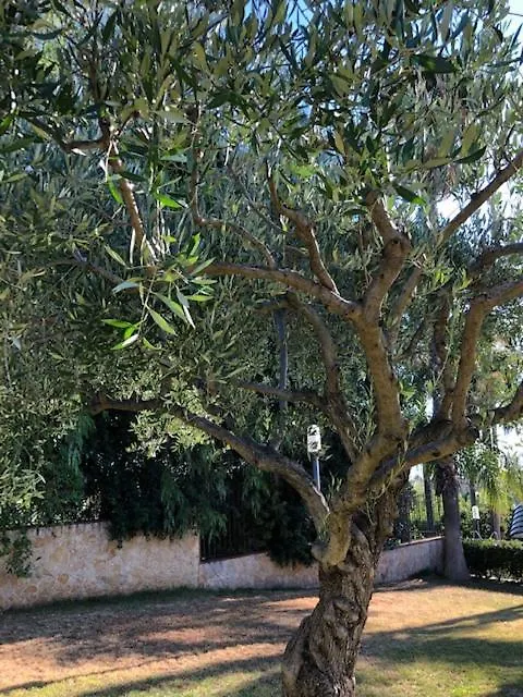 Villa Grandiosa Fc Aci Catena Bed & Breakfast
